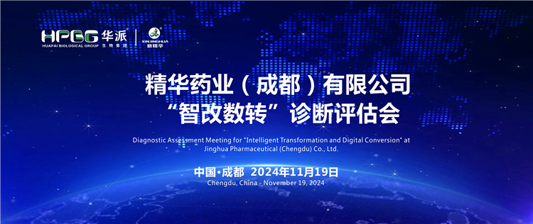 智能制造｜专家组莅临华派集团·必发888药业开展“智改数转”评估诊断