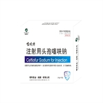 1g注射用头孢噻呋钠