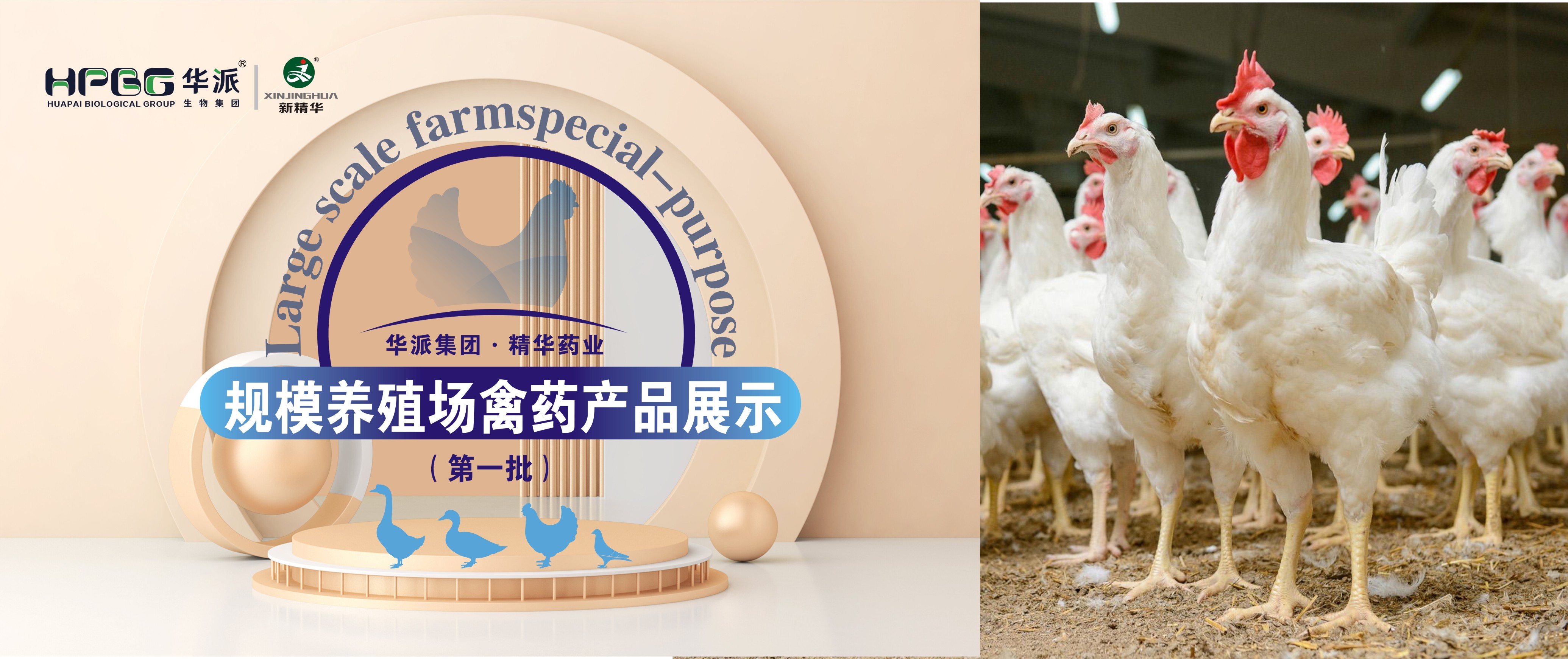 规；；吵∽ㄓ | 华派集团·必发888药业规；；吵∏菀┎氛故荆ǖ谝慌