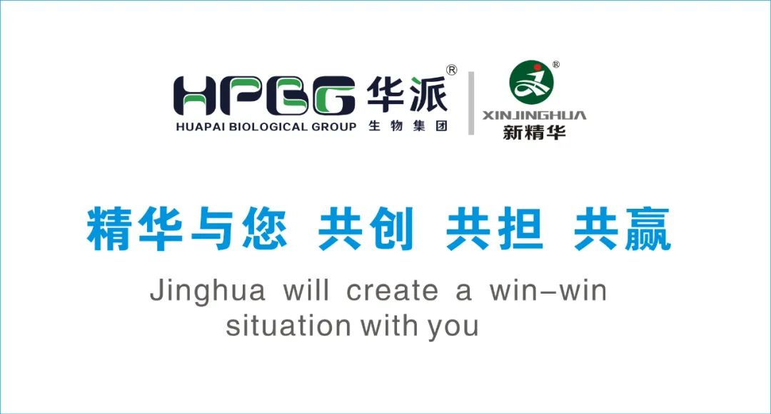 企业简介 |华派集团&bull;必发888药业（成都）有限公司