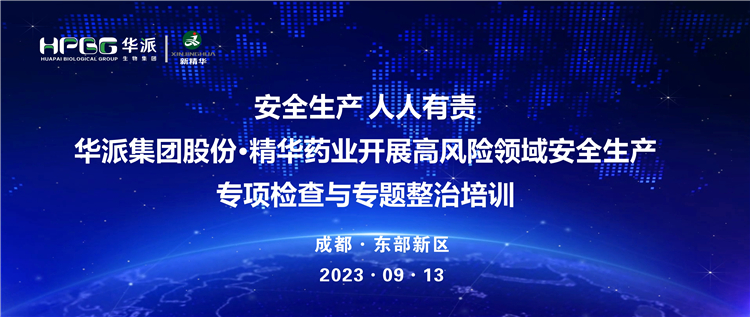 清静生产 人人有责 | 华派集团股份&middot;必发888药业开展高风险领域清静生产专项检查与专题整治培训