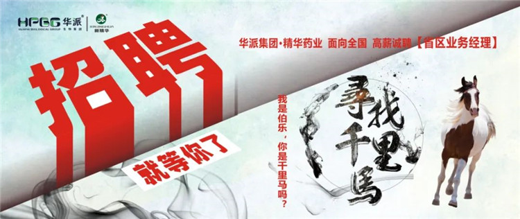 寻找千里马 | 华派集团&bull;必发888药业面 向天下高薪诚聘【省区营业司理】 我是伯乐，你是千里马吗？？