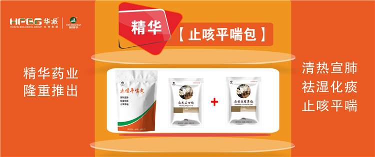 科普：：畜禽呼吸道疾病的防控手艺 |【止咳平喘包】清热宣肺、、祛湿化痰、、止咳平喘，，，畜禽呼吸道疾病引起的种种咳喘防控首。！！！